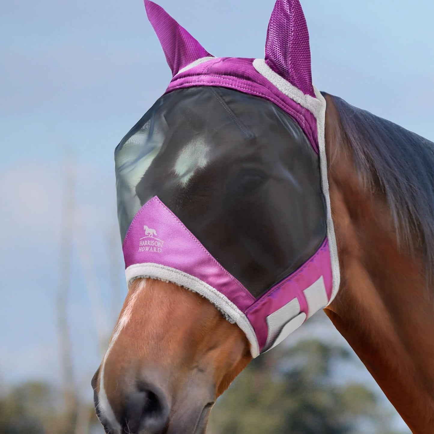 Harrison Howard CareMaster Pro Luminous Horse Fly Mask Large Eye Space Standard with Ears UV Protection for Horse Dark Magenta Medium Cob