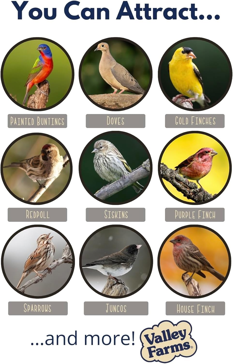 Valley Farms White Millet Wild Bird Seed (20 LB) for Outside feeders, White proso Millet, Bird Watcher Secret Wild Bird Food