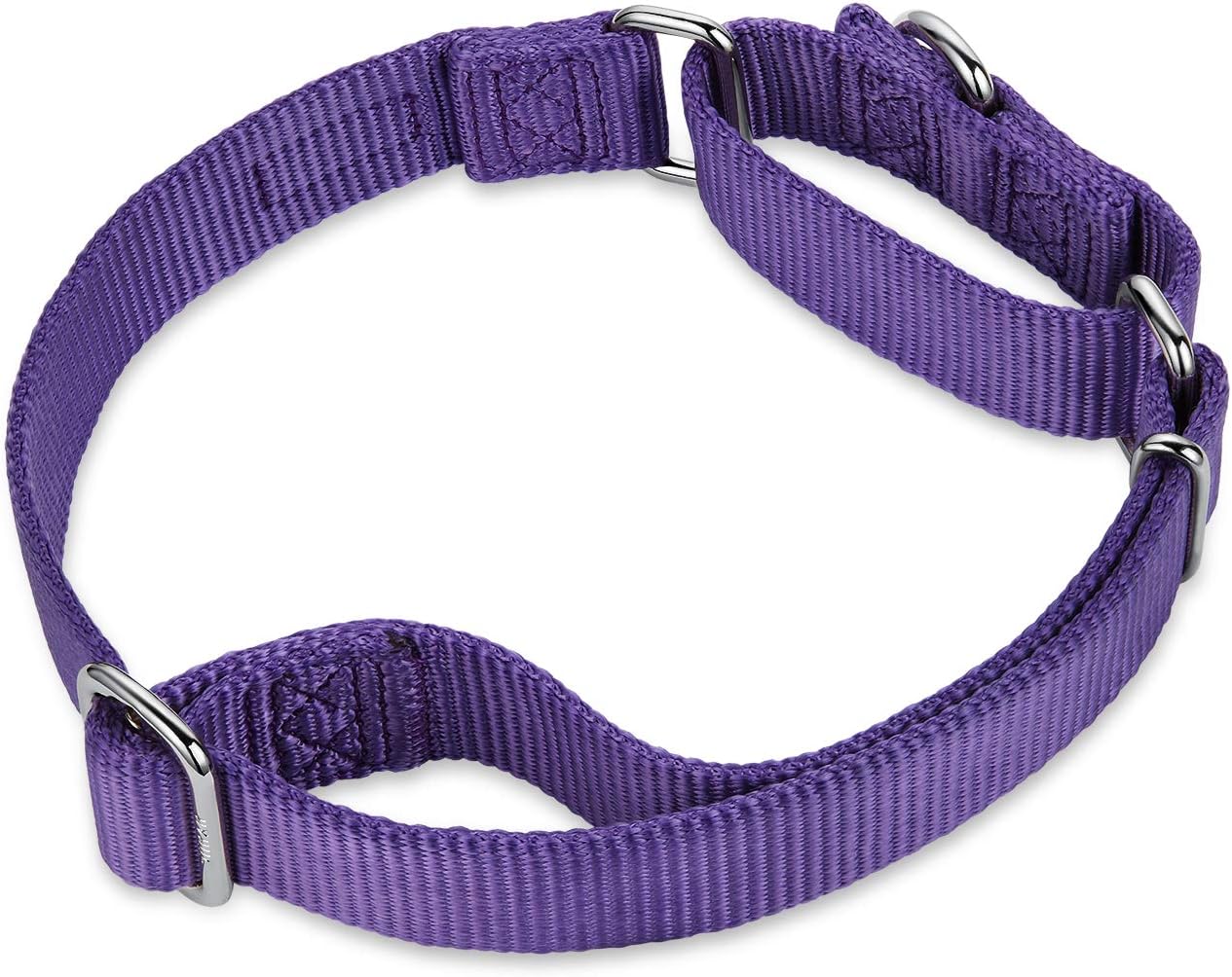 Hyhug Pets Premium Upgraded Heavy Duty Nylon Anti-Escape Martingale Collar for Pup Dogs Comfy and Safe - Professional Training, Daily Use Walking. (Small, Ultra Violet)