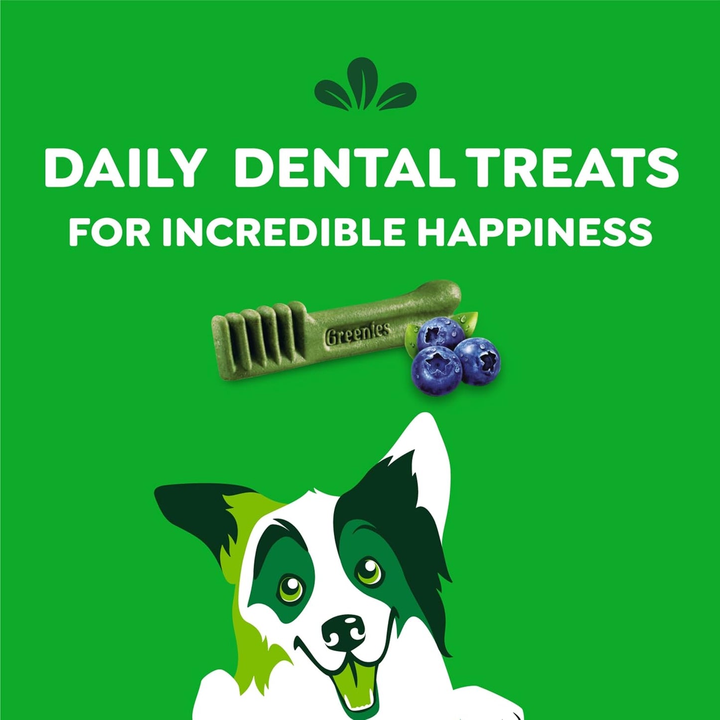 Greenies Regular Dental Dog Treats, Blueberry Flavor, 12 oz. Pack (12 Treats)