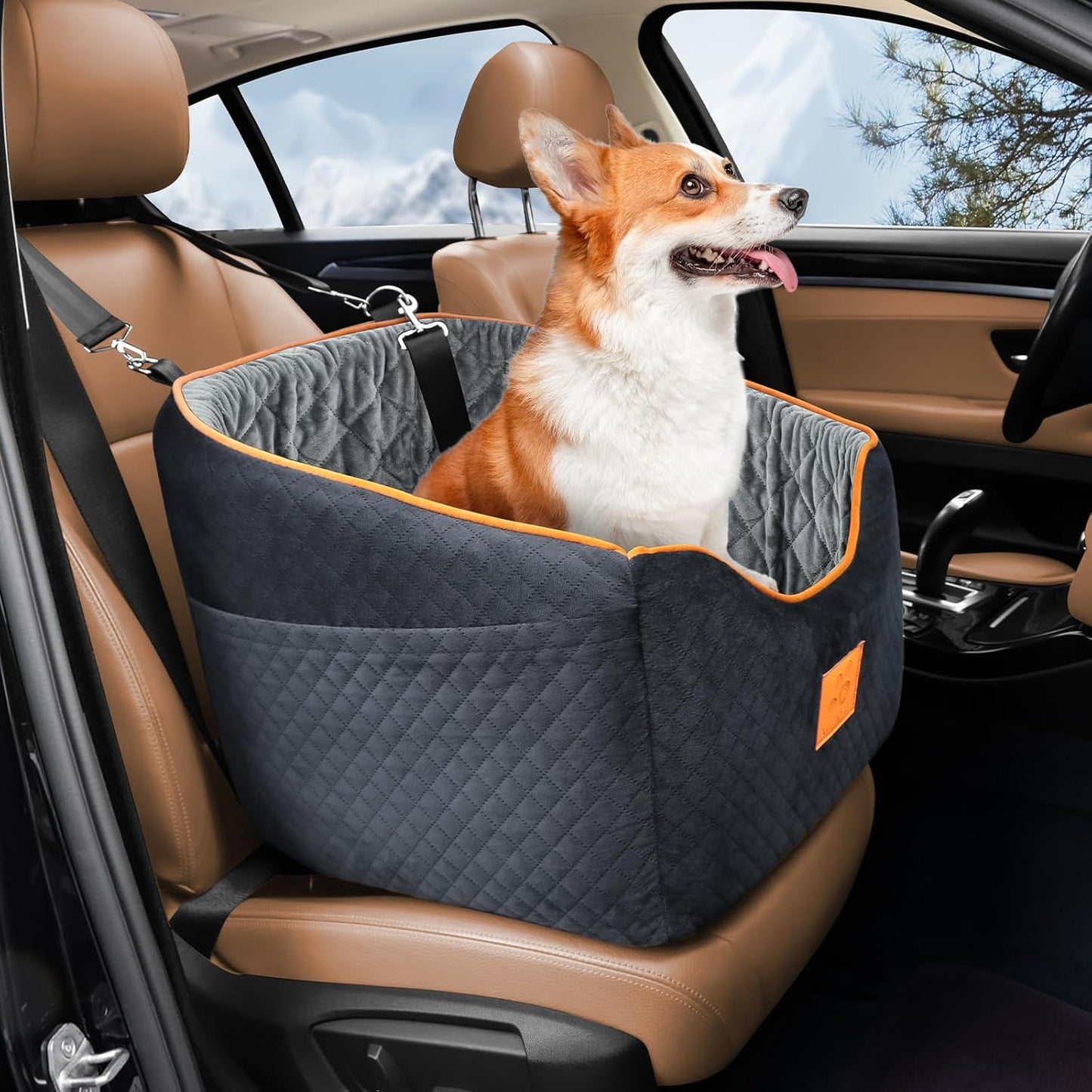 Dog Car Seat for Small Dogs, Memory Foam Booster Dog Seat for Dogs up to 35 lbs, Elevated Pet Car Seat with Washable Removable Cover, Storage Pockets(Black/Gray)