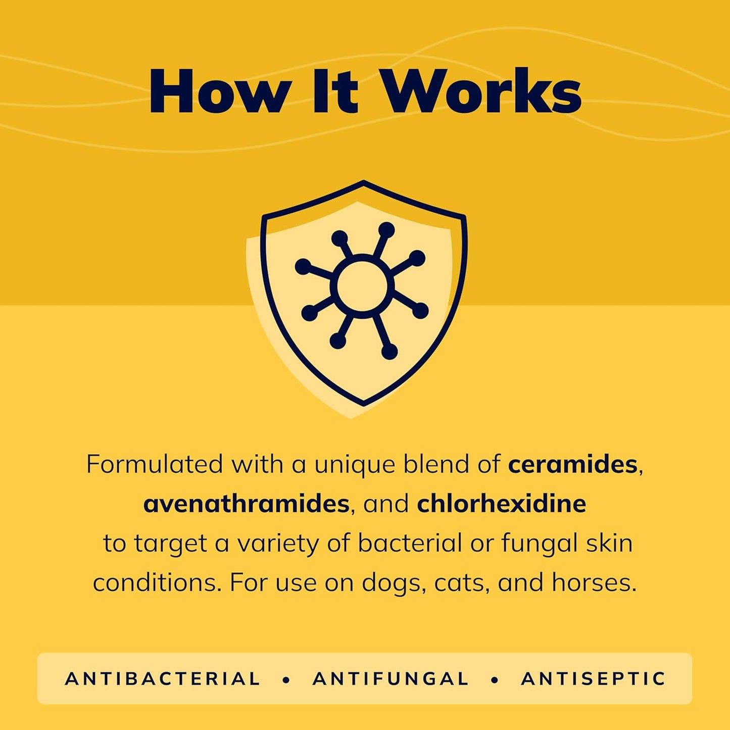 CeraSoothe® CHX Antiseptic Shampoo 16oz