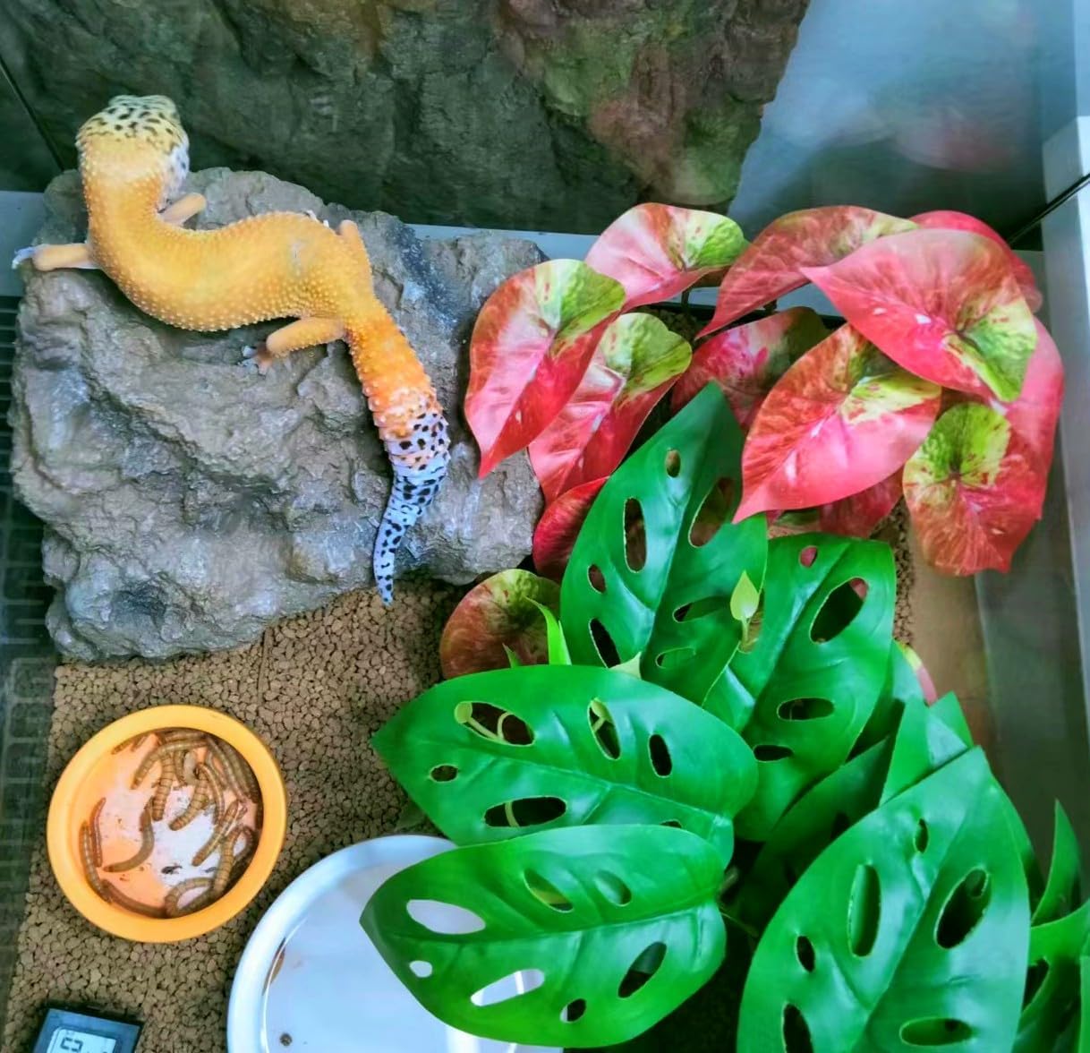 Reptile Plants for Terrarium Decor,Amphibian Habitat Decor, Bearded Dragon Tank Accessories,Artificial Plants for Gecko Chameleon Snake Tortoise with Base (Arrowhead)