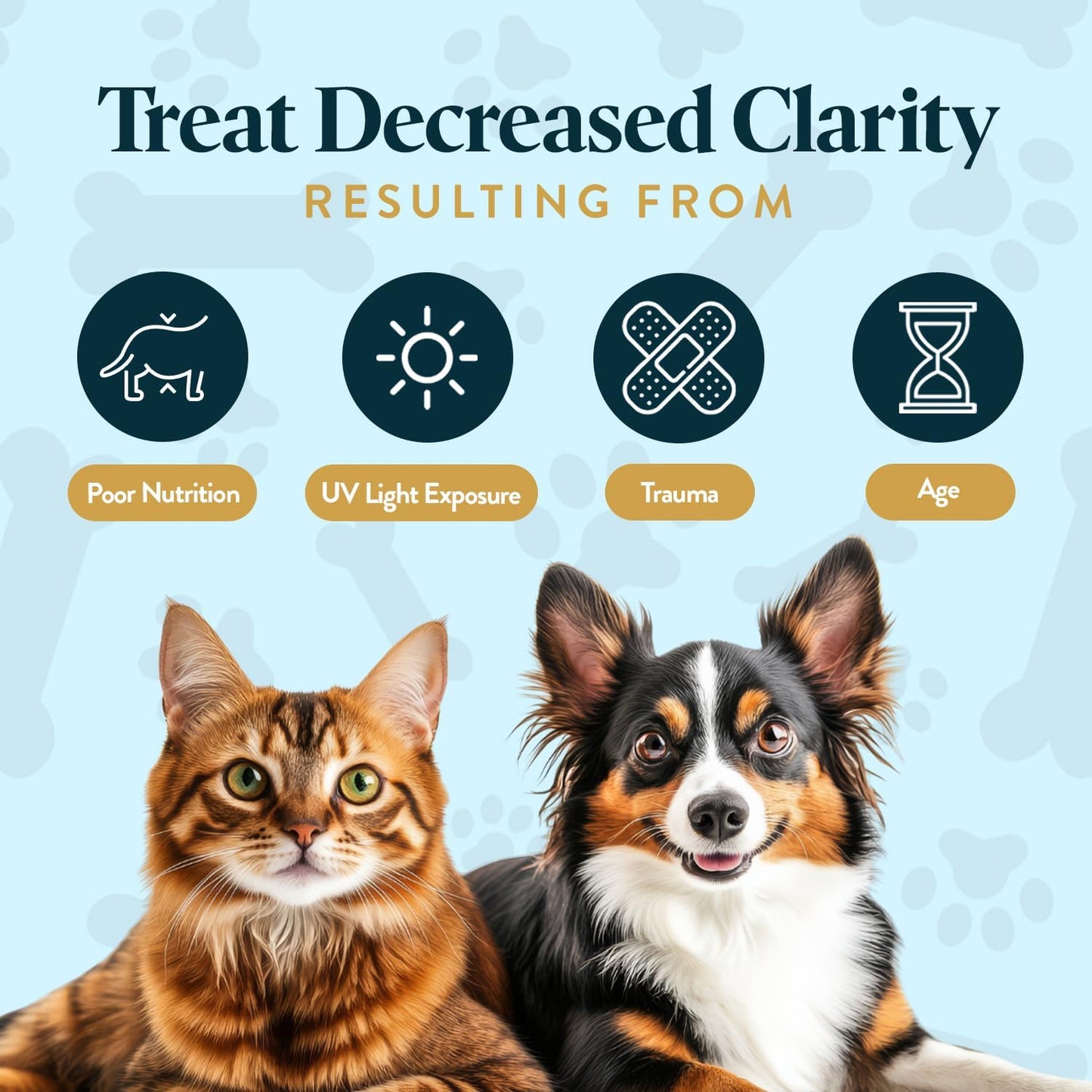 Bundle Eye Supplements for Dogs & Cats | Vision Chews with Omega-3 for All Ages - Includes 15 Chicken Liver Flavored Chews & Pet Eye Drops, 16 mL | Antioxidants & 2% NAC for Cataracts