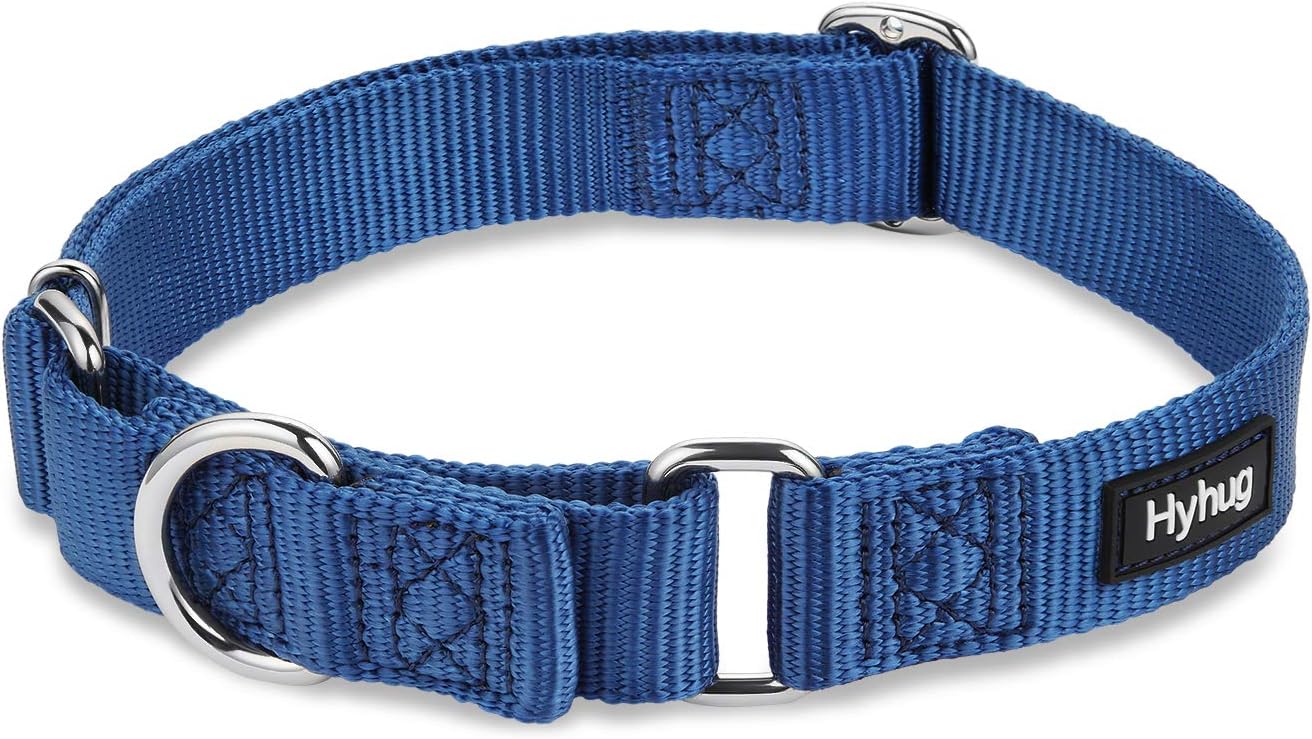 Hyhug Pets Premium Upgraded Durable Nylon Anti-Escape Martingale Collar for Boy and Girl Dogs Comfy and Safe - Professional Training, Daily Use Walking. (Medium, Classic Blue)