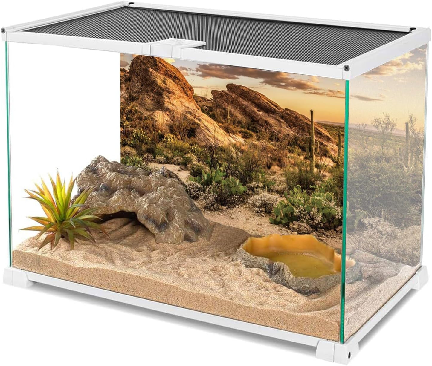 AWERT Reptile Habitat Background Blue Sky Oasis Cactus Sun and Desert Terrarium Background 60x24 inches Durable Polyester Background