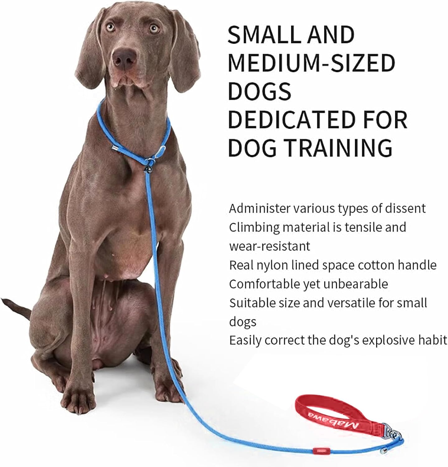 Dog Anti-Slip Leash 5FT with Metal Stopper - Durable No-Pull Training Lead for Small, Medium & Large Dogs - Comfortable Handle Nylon Rope, Tangle-Free Pet Walking Leash (Blue, 5.6FT)