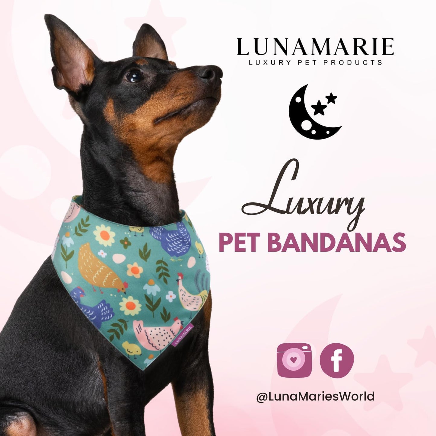 LunaMarie - Luxury Pet Birthday Bandanas -Premium & Silky Poly Fabric | 100% Handmade | Custom Shape Dual Layered (Chicken Couture, Small)