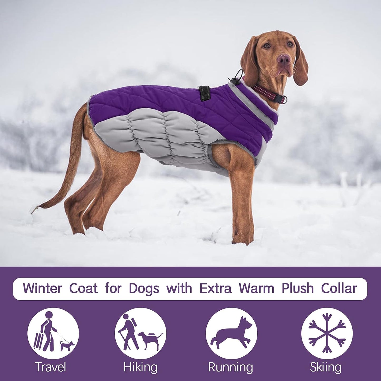 FUAMEY Dog Coat for Large Dogs,Waterproof Dog Winter Jacket with Harness Built in Puppy Cold Weather Coats Reflective Pet Vest with Zipper Warm Fleece Dogs Snowsuit Windproof Purple XXXL