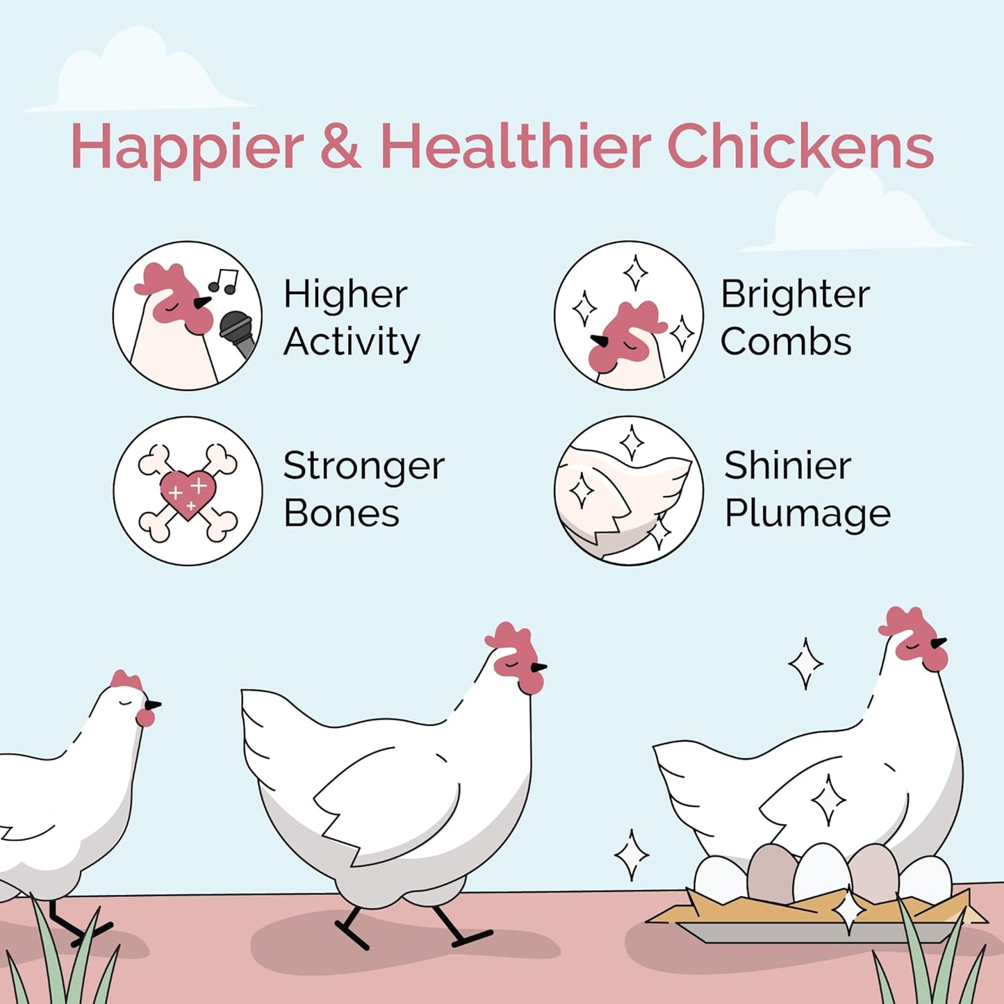 Organic Chicken Feed – Layer Mash, Non-GMO, USA Grown, 16% Protein, Corn-Free, Soy-Free, Non-Medicated Feed for Chickens, 23 lbs