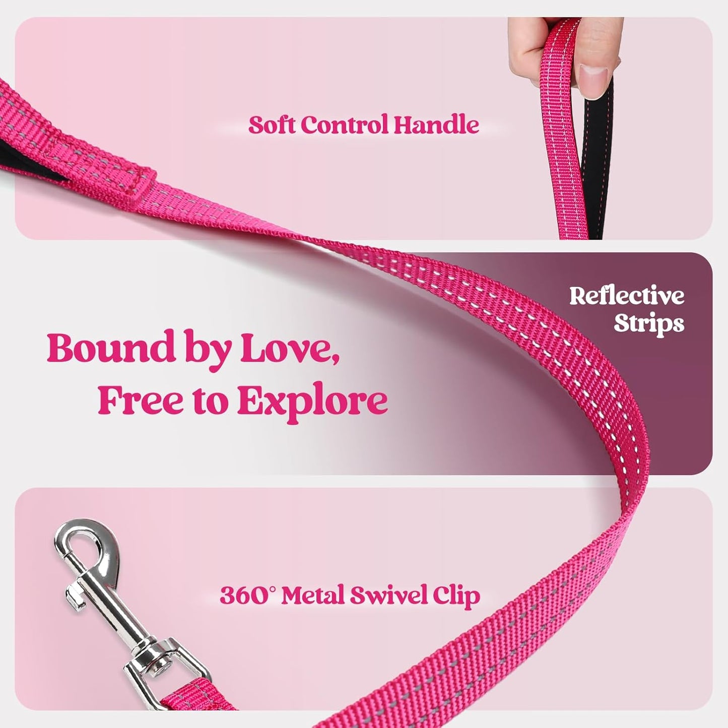 rabbitgoo Dog Harness Small Sized and Leash Set, Step in Soft Light Puppy Vest, Breathable Mesh Pet Harness, Reflective for Safe Easy Walking, Rose Red XS