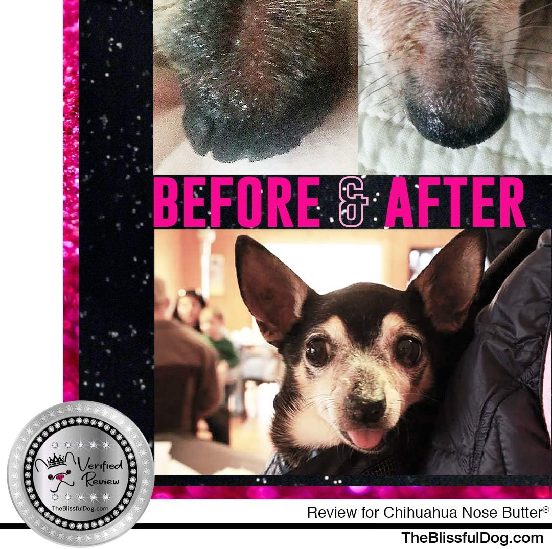 The Blissful Dog Long Coat Chihuahua Nose Butter for Dry, Cracked Skin, Lick-Safe Dog Nose Balm with Moisturizing Shea Butter, Almond, Olive, and Essential Oils, Pet Supplies, Uncented, 4 oz.