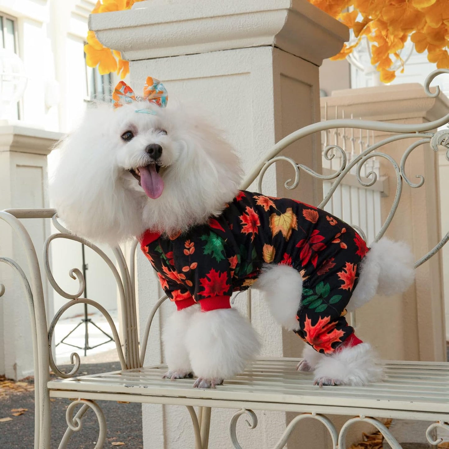 CuteBone Dog Halloween Pajamas Puppy Onesies Small Dogs Soft Pjs Coat Cat Apparel Comfy Pet Christmas Clothes Outfit Doggie Bodysuit P265M