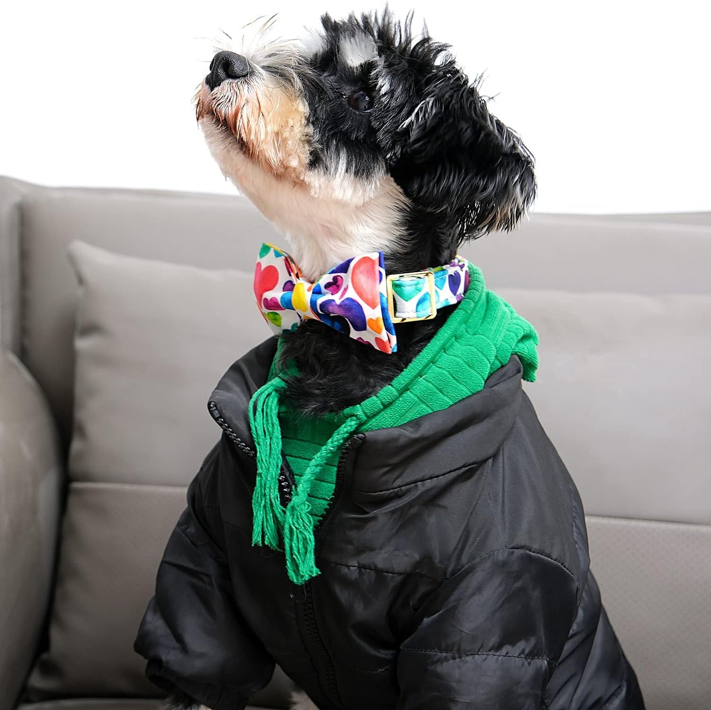 Lionet Paws Valentine's Day Dog Collar with Bowtie, Soft and Comfortable, Adjustable Collar for X-Large Dogs, Neck 16-26 inches