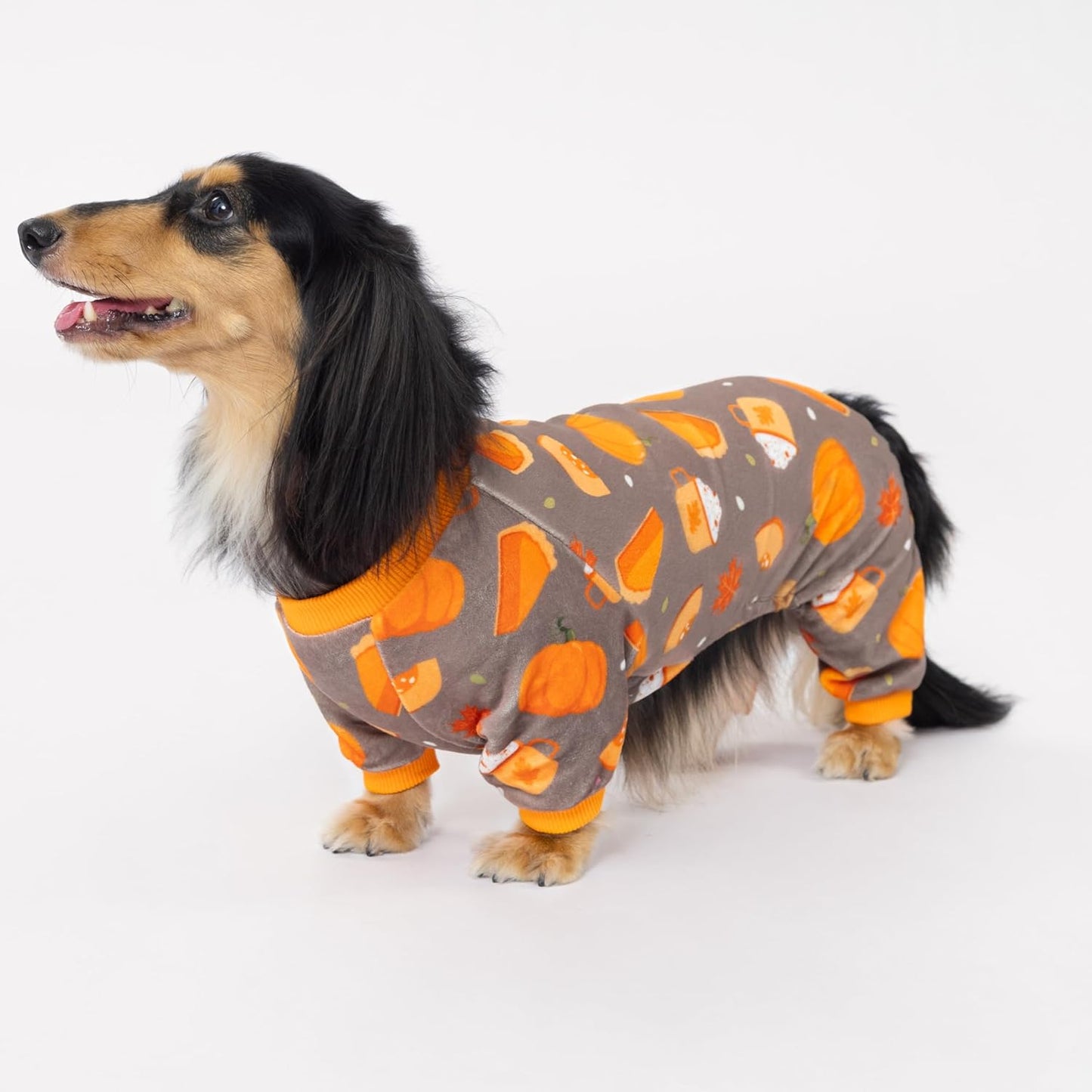 Fitwarm Pumpkin Dog Pajamas, Thanksgiving Outfit for Small Dogs Boy Girl, Pet Onesie, Brown, Orange, Medium