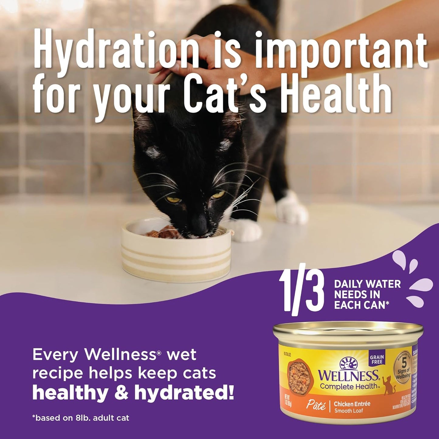 Wellness Complete Health Pate Adult Wet Cat Food, Natural, Protein-Rich, Grain Free, 3 Ounce, 24 Pack, (Turkey & Salmon)
