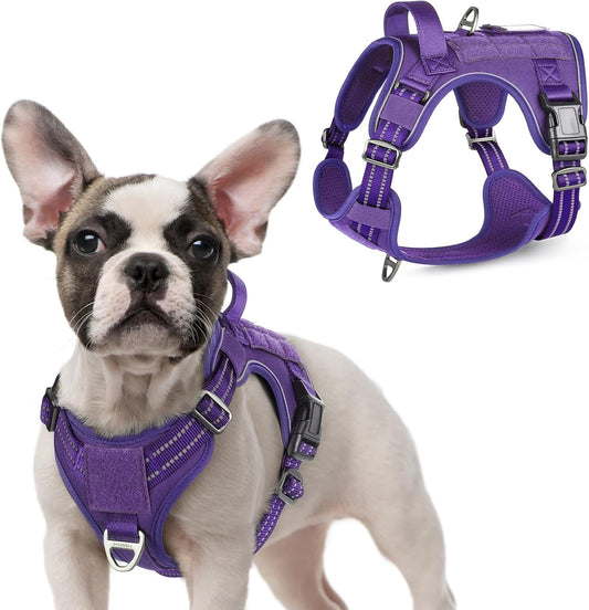 rabbitgoo Tactical Dog Harness for Small Dogs, No Pull Military Service Vest with Handle & Molle, Easy Control for Training Walking, Adjustable Reflective Straps, Purple, S