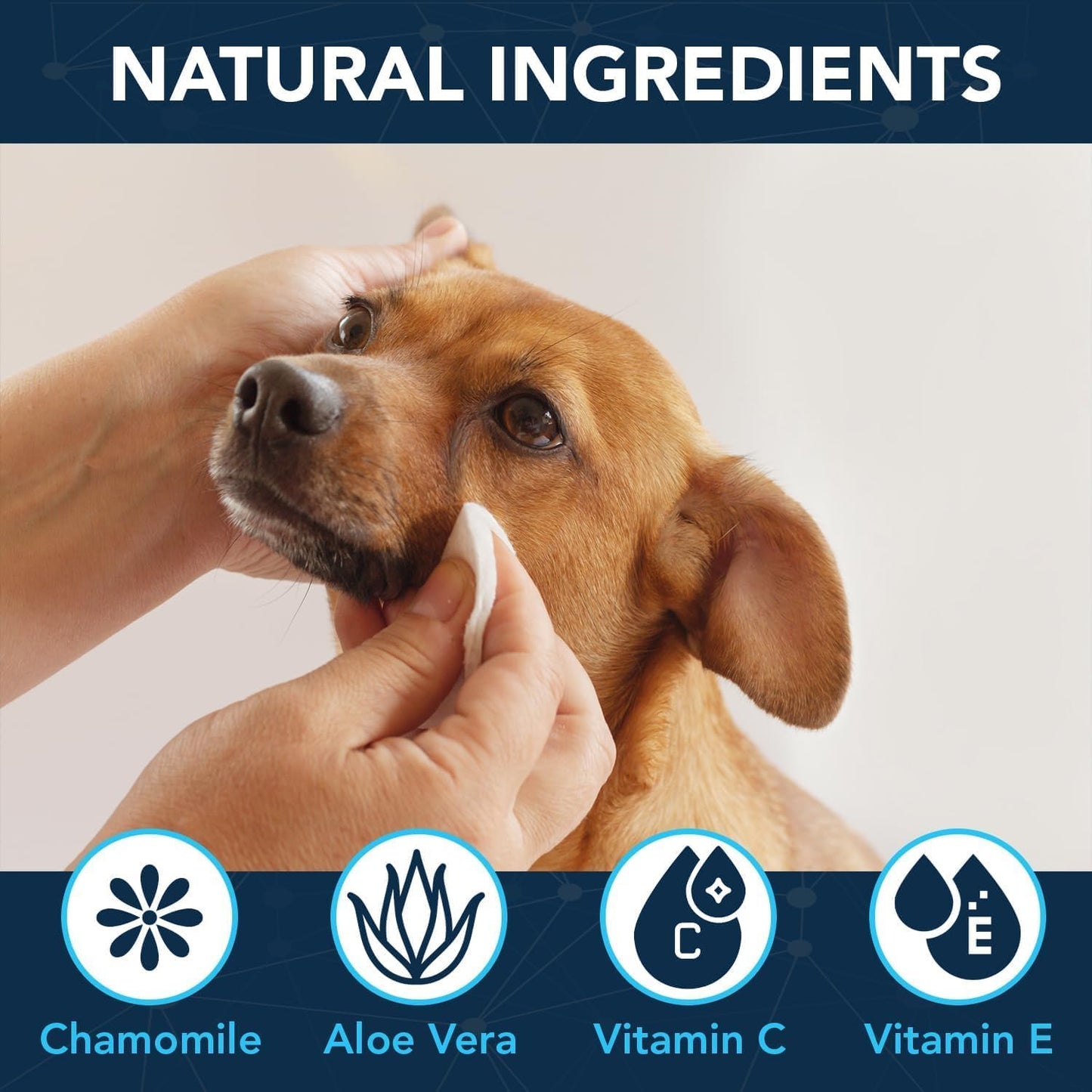 NOVEHA 300PCs Dog Eye Wipes - Tear Stain Remover for Dogs - Formulated with Chamomile and Aloe to Remove Eye Debris, Tear Stains & Eye Discharge - Plant Based, Safe, and Large 5"x5" Unscented Wipes