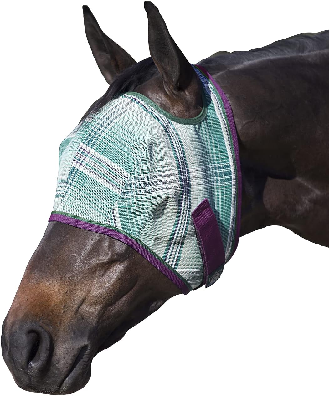 Kensington Fly Mask Web Trim Protects Horses Face and Eyes from Bites and Sun Rays While Allowing Full Visibility Ears and Forelock Able to Come Through The Mask, XXL-Draft, Imperial Jade