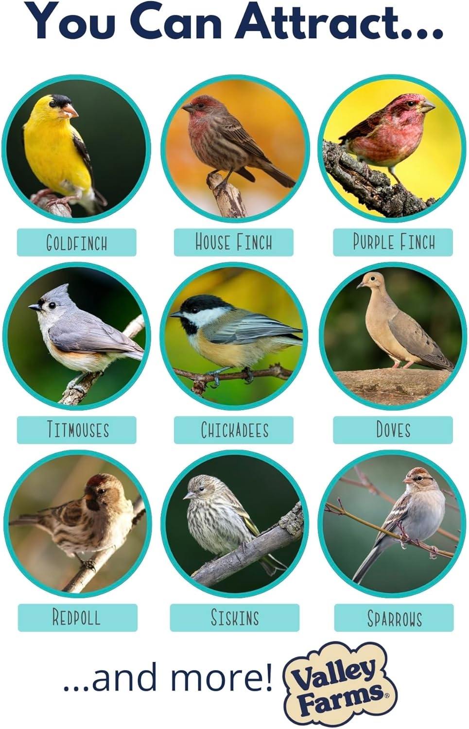 Valley Farms Wild Finch Mix 4 LB 2-Pack (8 LB Total) Wild Bird Food for Outside Feeders, Wild Bird Seed with Millet and Chopped Sunflower Hearts for Birds, Finch Seed for Finch Feeders