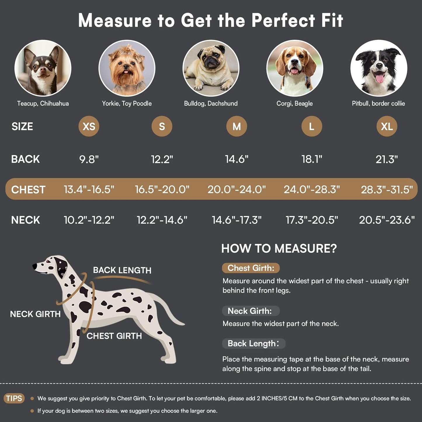 Queenmore Dog Winter Coat Warm Puffer Jacket Waterproof Plush Lining Thermal Cold Weather Vest for Small Medium Large Dogs, Windproof Easy On Pet Jacket Burgundy XL