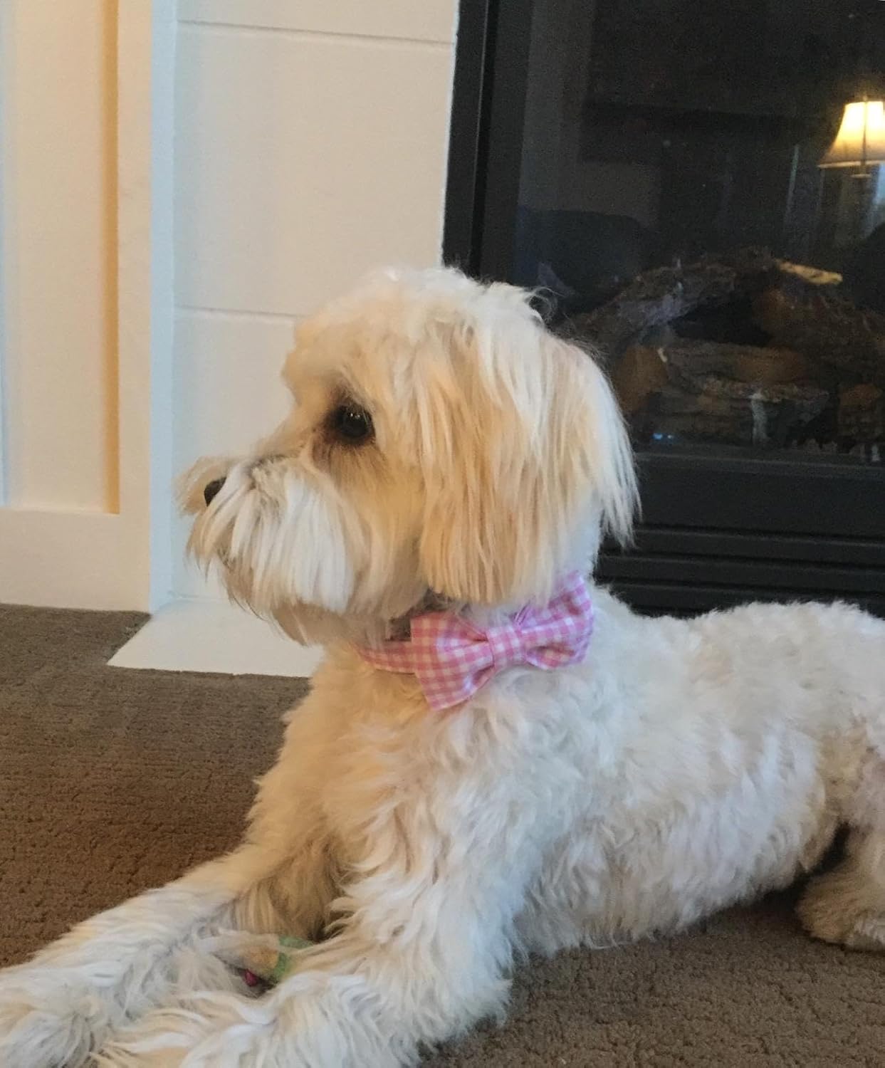 Lionet Paws Dog Collar with Bowtie, Comfortable Adjustable Cute Pink Gingham Bow Tie Collar for Female Dogs Gift, Small, Neck 10-16 inches