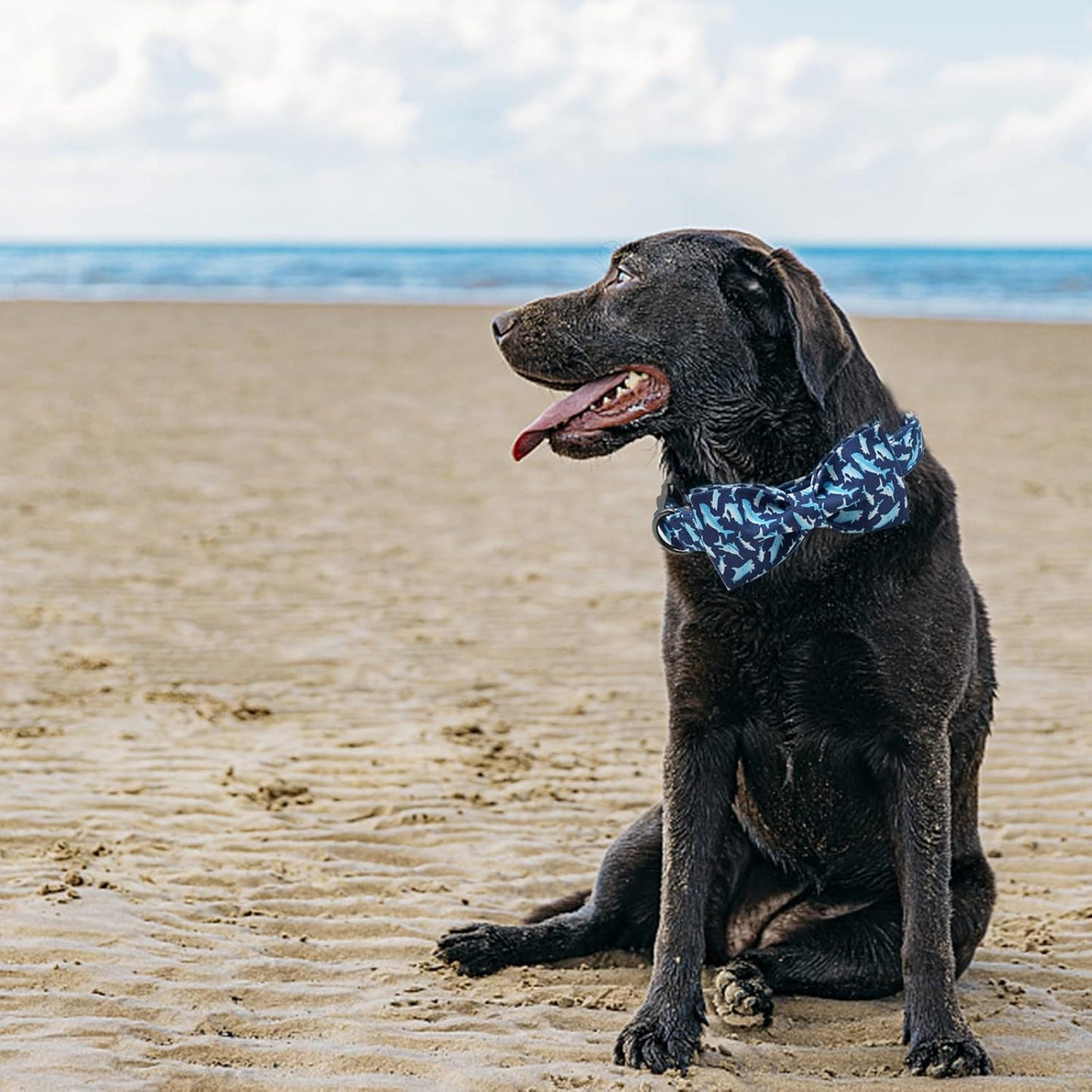Elegant Little Tail Dog Collar with Bow, Shark Print Adjustable Cute Bowtie Collar for Medium Dogs