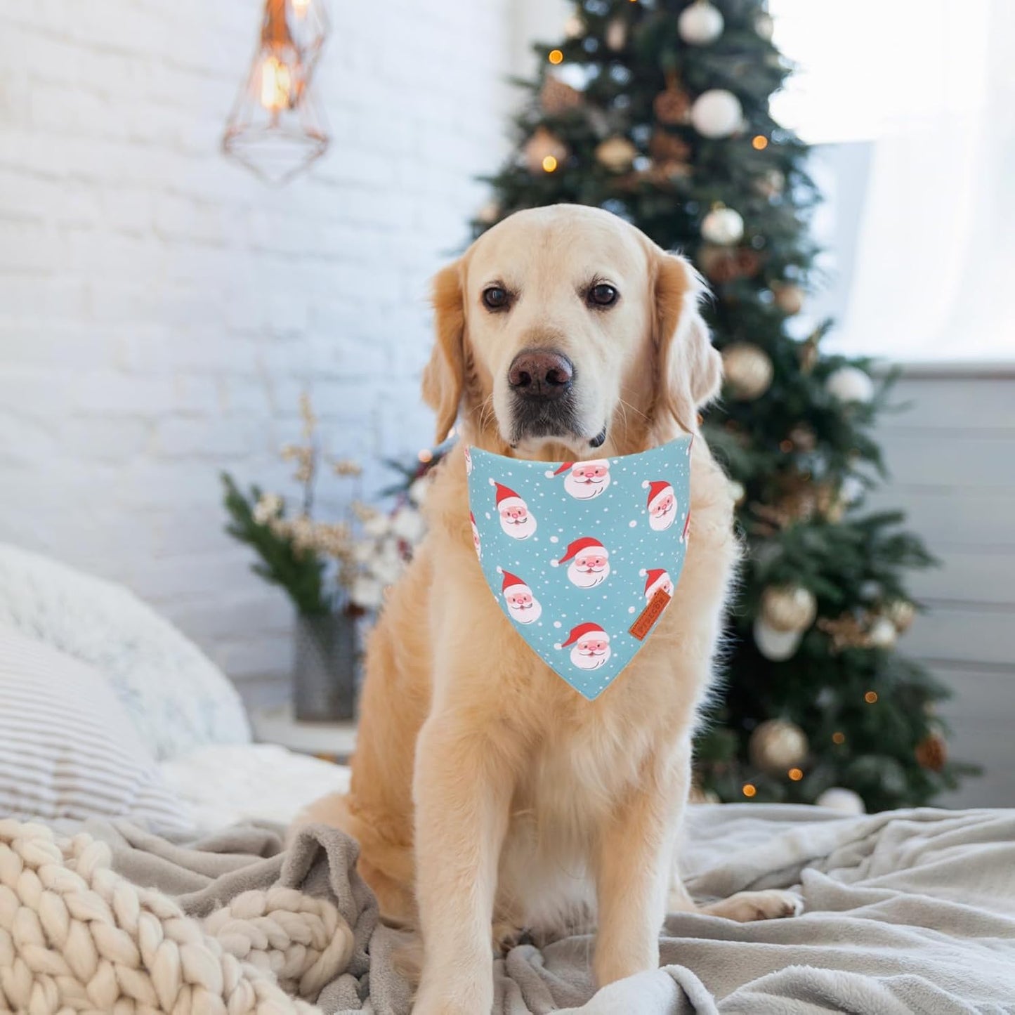 PTDECOR Christmas Dog Bandana, Xmas Light Bulb Santa Reversible Holiday Dog Scarf, Triangle Christmas Bandanas for Large and Extra Large Dogs Pets (X-Large)