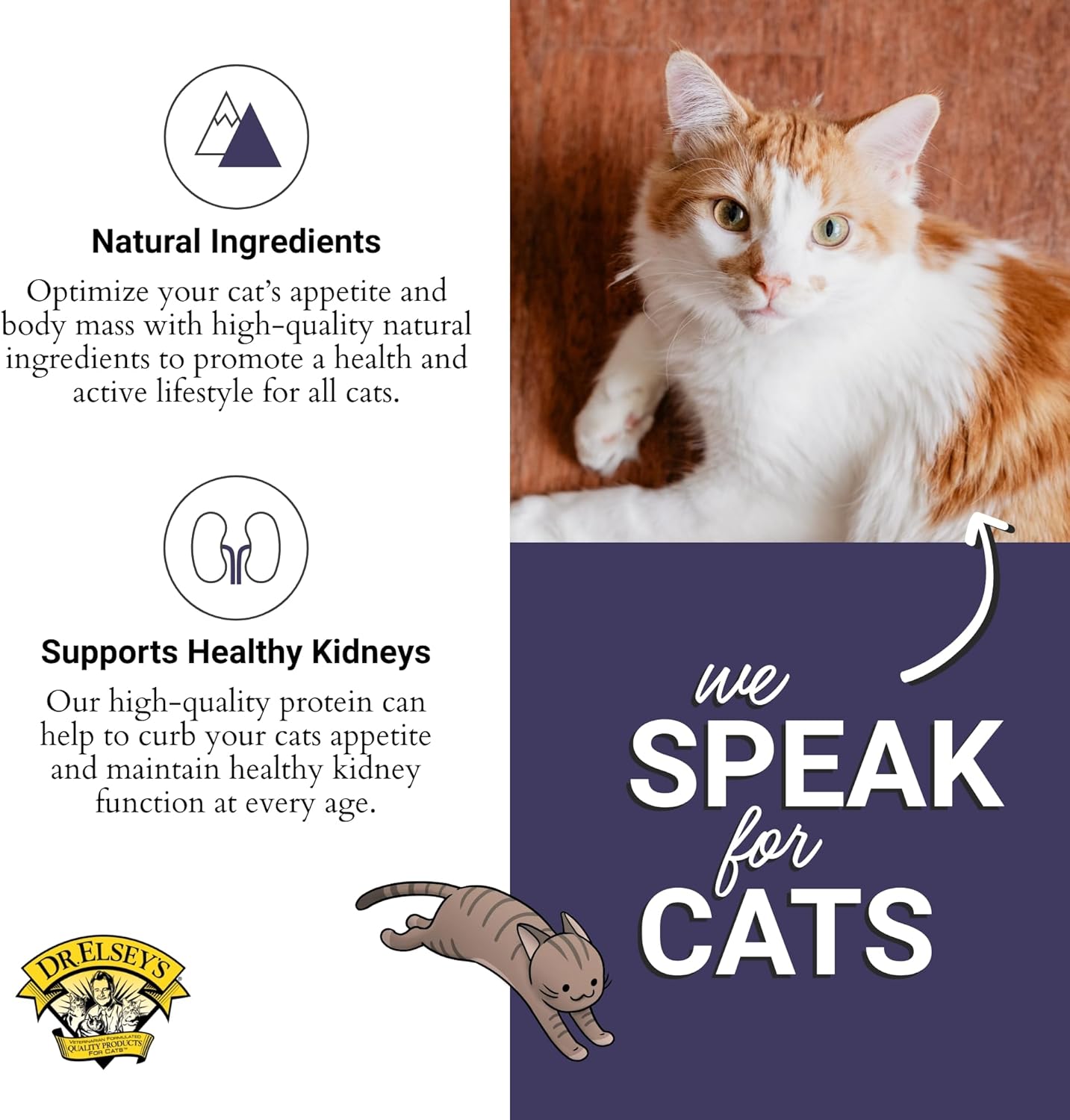 Dr. Elsey's cleanprotein Chicken Recipe Wet Cat Food, Pate 5.3 oz cans (Pack of 24)