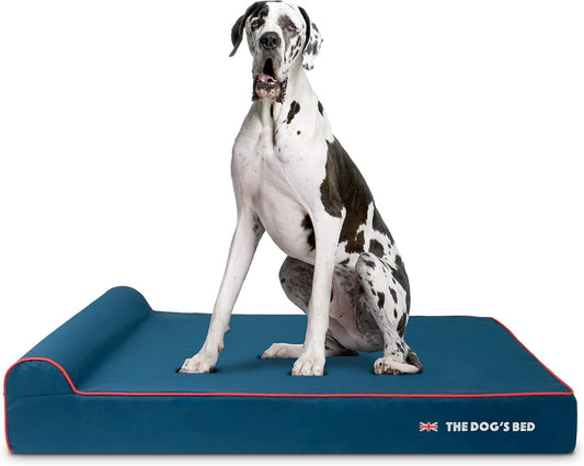 The Dog’s Bed Orthopedic Headrest Dog Bed XXL Blue Oxford with Red Trim UK Flag Dog Bed54x36, Memory Foam, Hip & Elbow Dysplasia, Post Surgery, Veterinary Approved, Waterproof Washable Cover