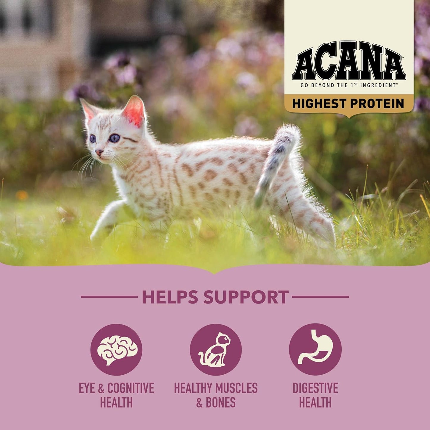 ACANA Highest Protein Dry Cat Food Kitten Recipe 4lb Bag
