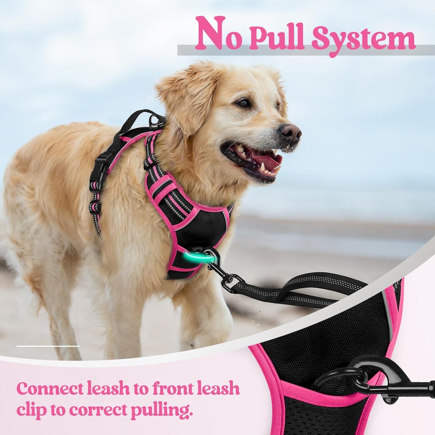 rabbitgoo Dog Harness No Pull with 2 Leash Clips, Adjustable Soft Padded, Reflective Oxford No Choke Pet Vest with Easy Control Handle for Large Dogs, Black & Hot Pink, XL