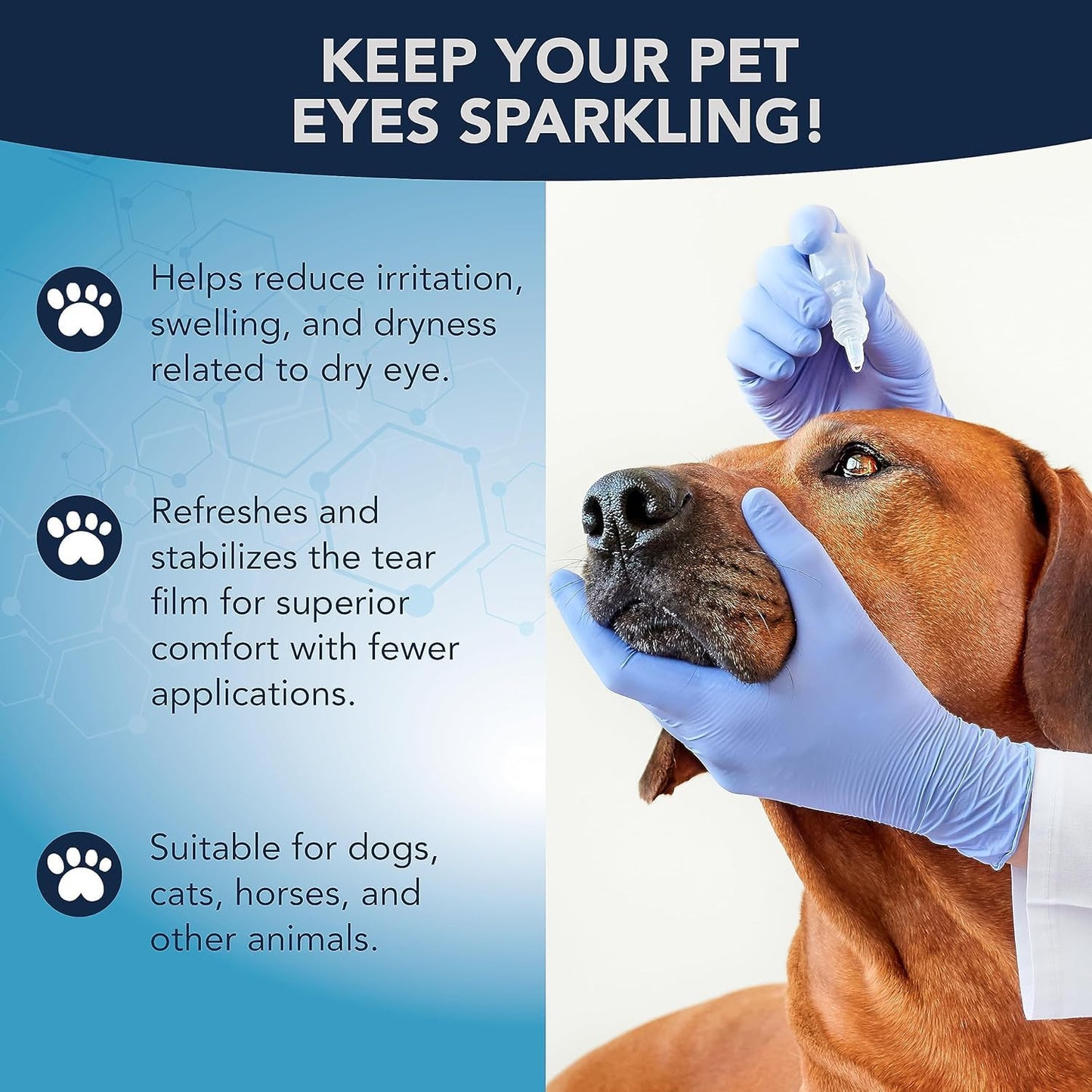 NOVEHA Pet Gel Eye Drops with 0.3% Viscoadaptive Hyaluronan | Eye Solution for Severe Dry Eyes - Long Lasting Hydration, Reduces Nuisance, Swelling & Dryness - Eye Lube for Dog and Cats (2PK - 2x10mL)