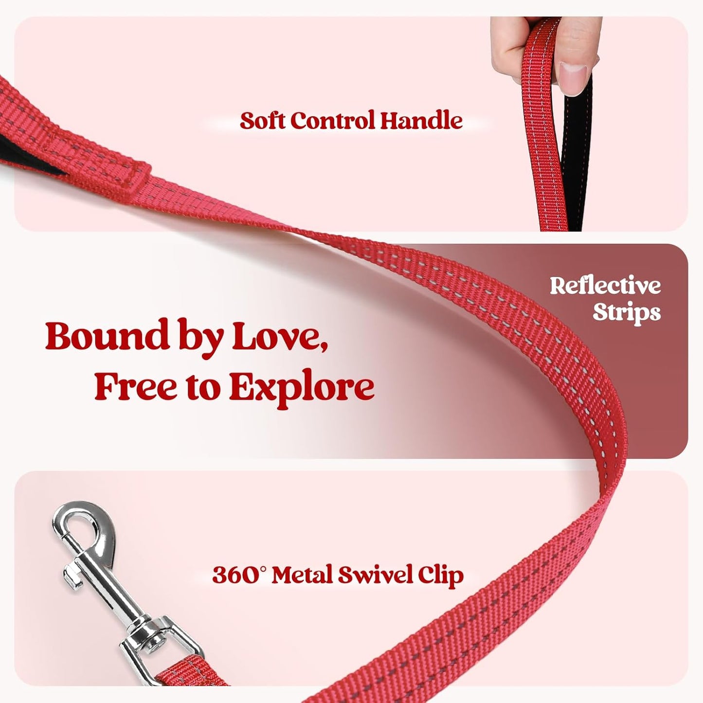 rabbitgoo Dog Harness Small Sized and Leash Set, Step in Soft Light Puppy Vest, Breathable Mesh Pet Harness, Reflective for Safe Easy Walking, Red M