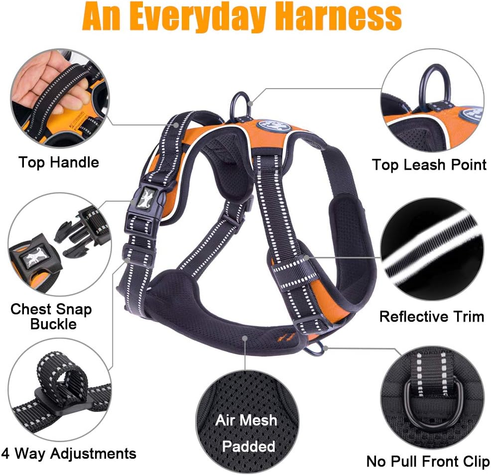PoyPet No Pull Dog Harness, Reflective Comfortable Vest Harness with Front & Back 2 Leash Attachments and Easy Control Handle Adjustable Soft Padded Pet Vest for Small to Large Dogs (Orange,XL)