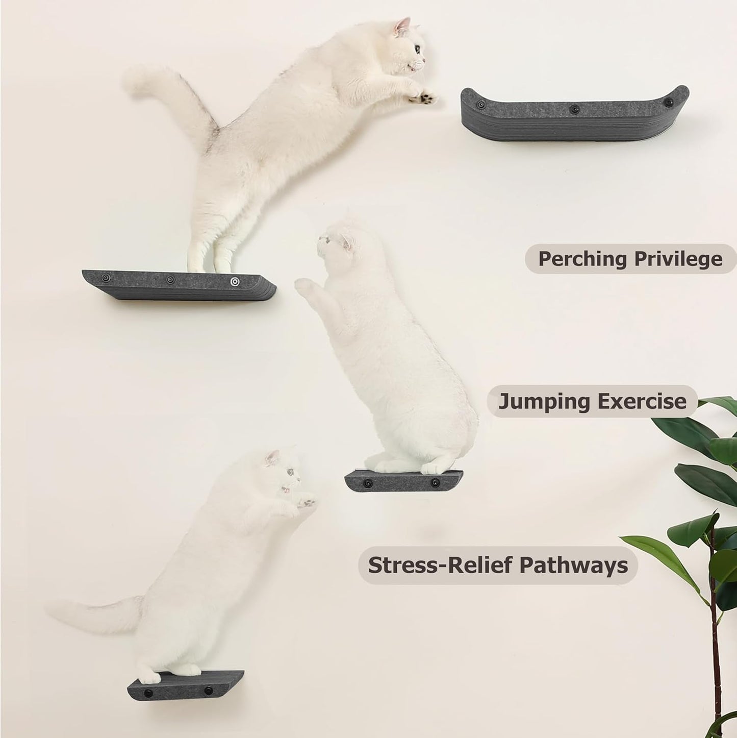 Wall Mounted Cat Shelves and Perches,Scratchable Cat Beds & Furniture for Indoor Cats, Soft PET Felt Feline Climbing Wall Set, Modern Jungle Gym System for Lounging and Sleeping (Set of 4-Grey)