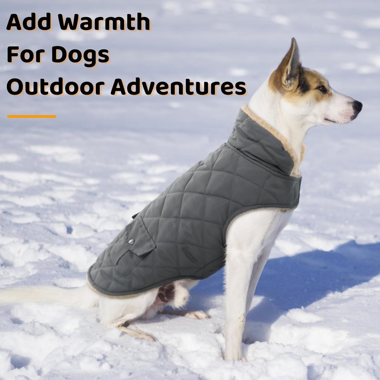 Queenmore Dog Winter Coat - Fleece Jacket, Waterproof Cold Weather Dog Clothes, Thick Warm Cotton Padding, Easy On Storage Pockets (Grey, Small)