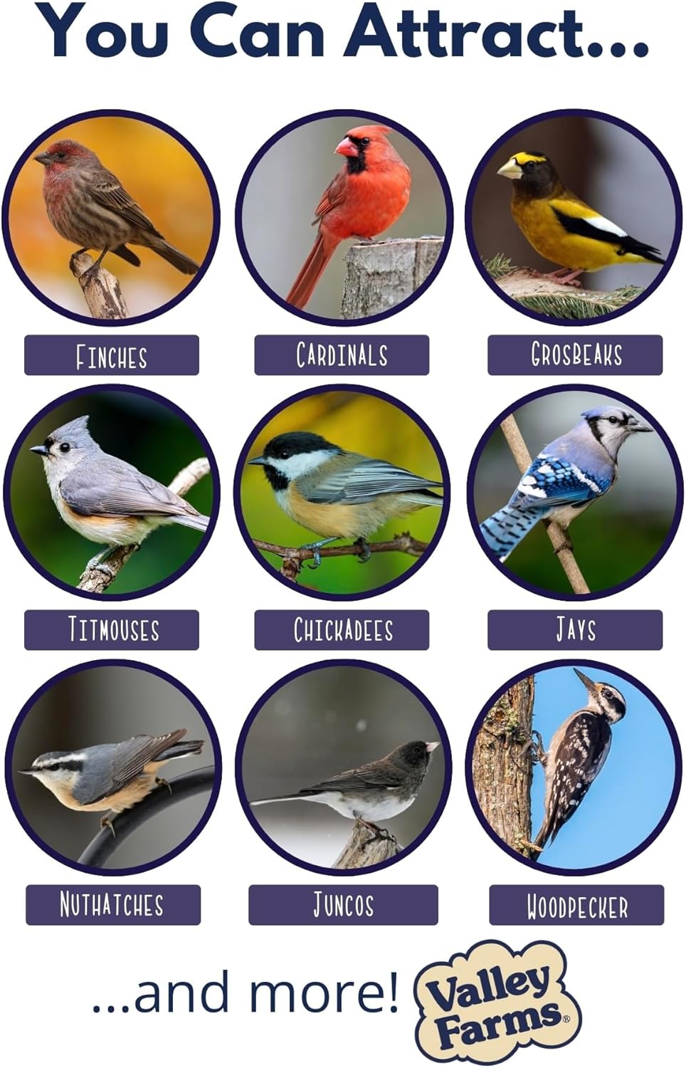 Valley Farms Woodpecker Mix, No Mess Bird Seed for Outdoor Feeders, W/Peanuts and Sunflower Hearts for Birds, Woodpecker Food, Attract All Bird Species (4 LBS)