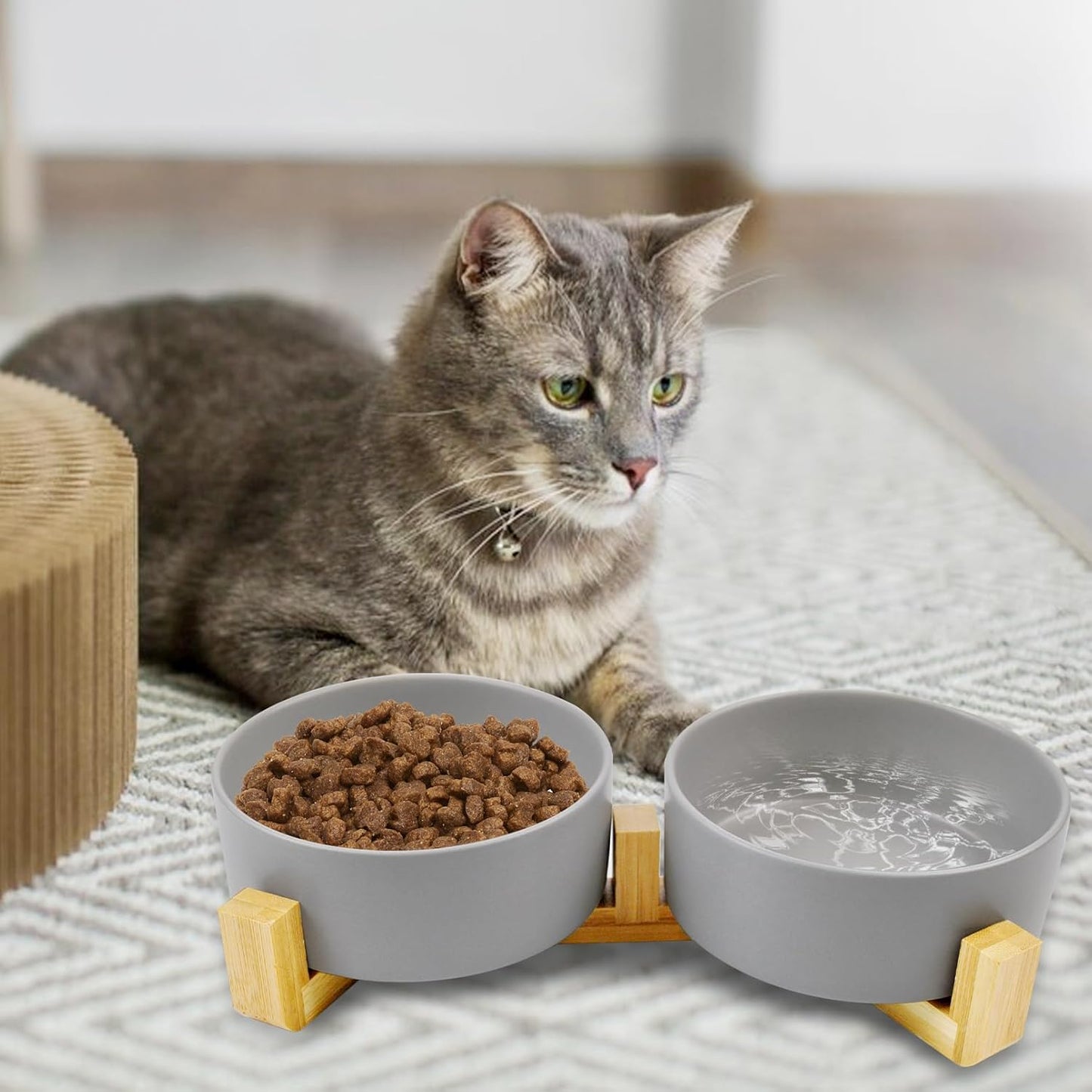 Ceramic Cat Bowls with Bamboo Stand,Non-Slip Small Dog Food and Water Bowl Set Non-Spill Cats Feeder Dish Modern Cute Weighted Cat Dishes for Small Dogs Puppy Cats Kitten(Grey)