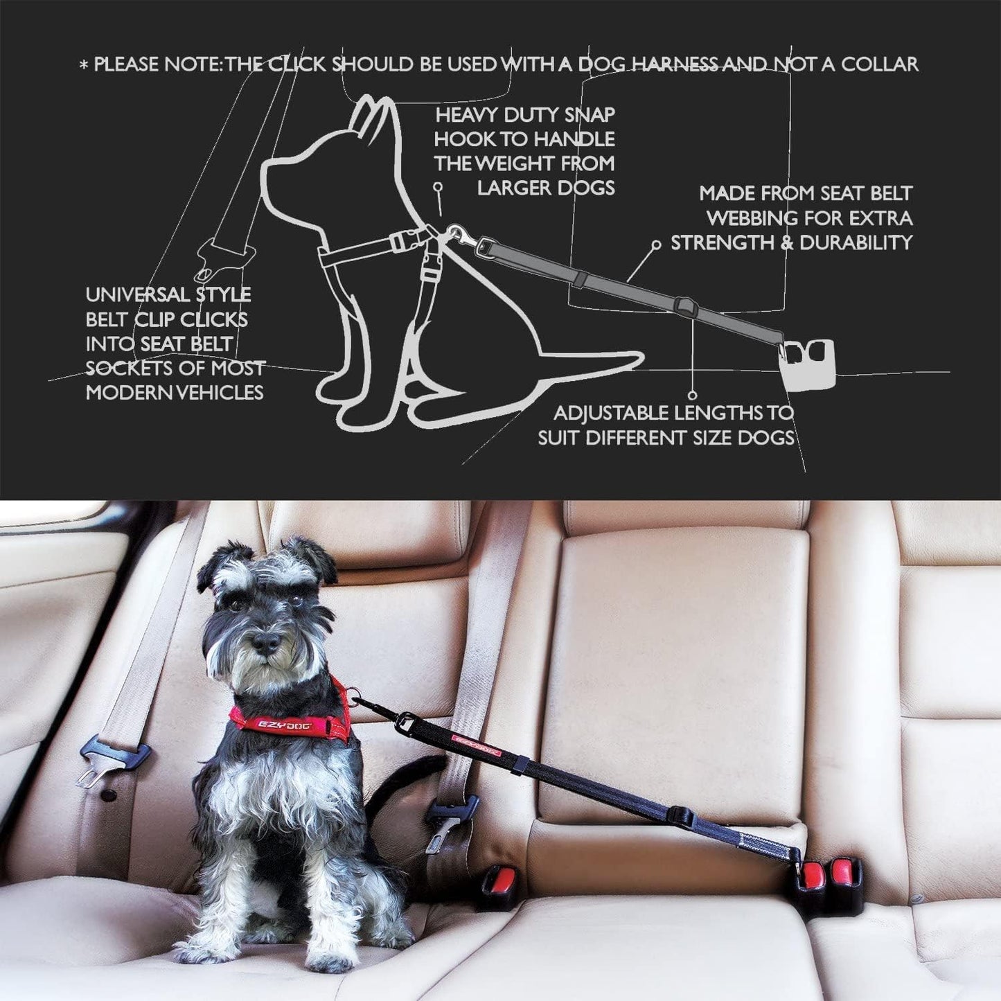 EzyDog CLICK – Dog Seat Belt for Car, Dog Harness Adjustable Seatbelt Attachment – Heavy Duty Nylon Seat Belt Webbing (17.5in - 26in)