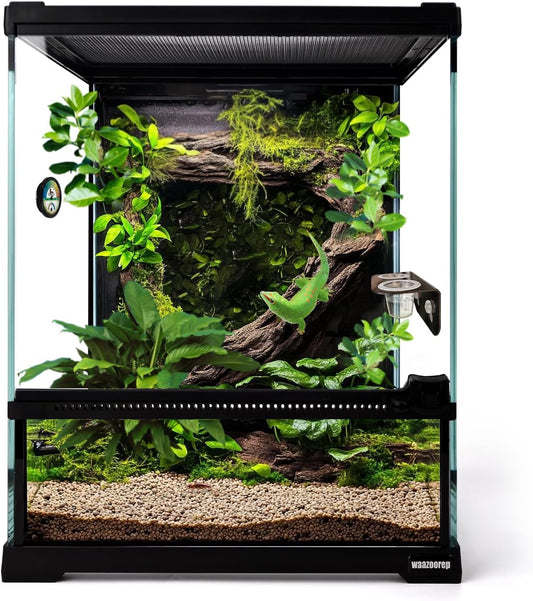 Mini Reptile Glass Terrarium Tank 8"*8"*10" Full View with Front Opening Door,Amphibians Enclosure Habitat Cage for Leopard Gecko Tarantula Young Lizard Hermit Crab Frog Insects Breeding