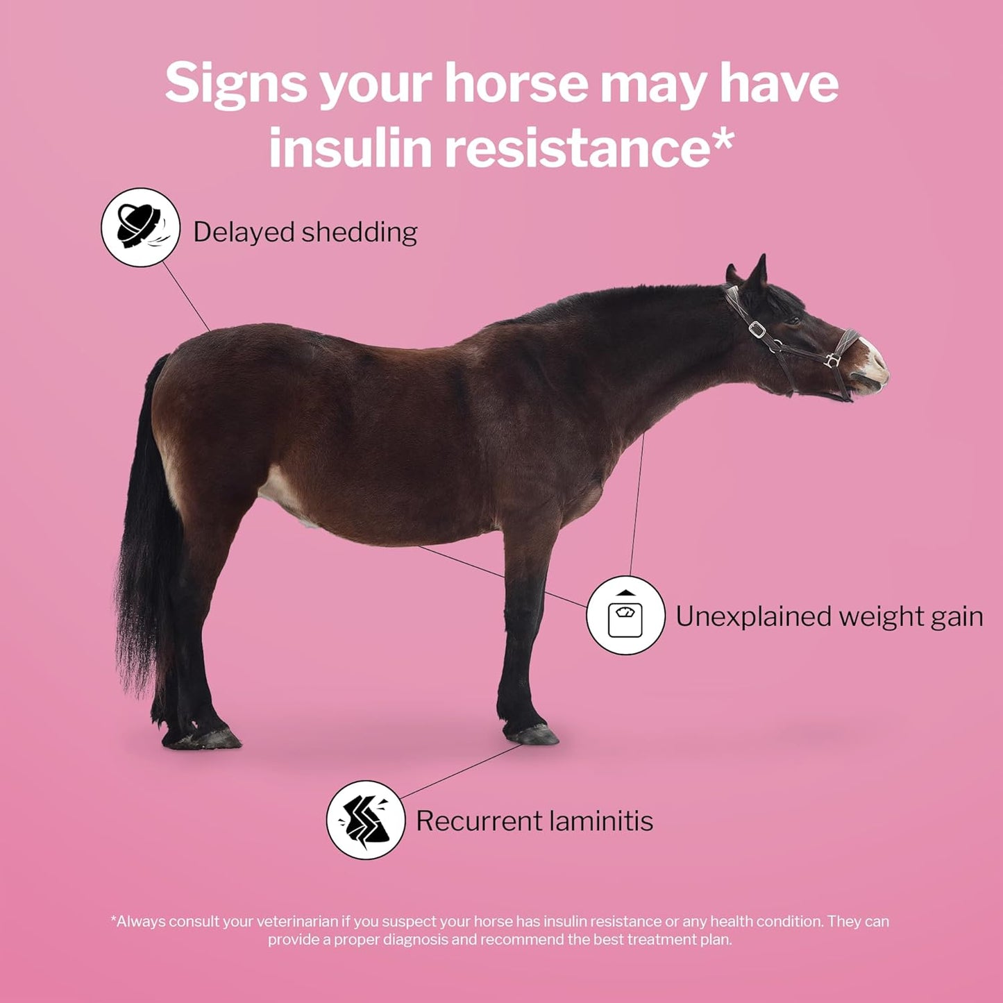 Formula 707 MetaStable Pellets for Horses 5 lb Bag – 40 Servings – University-Studied Support for Horses with Laminitis, Insulin Resistance & Metabolic Disorders