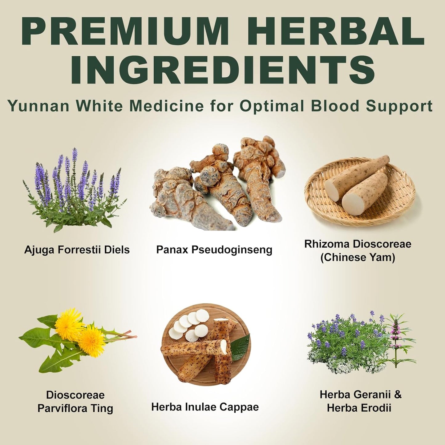 Quick Stop Bleeding for Dogs, Yunnan Sanqi Powder for Hemangiosarcoma, Hemoabdomen, Pericardial Effusion, Cancer Bleeding, Severe Bruising, Blood Support for Dogs, 100g