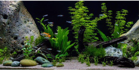 AWERT Vinyl Underwater Aquatic Plant Fish Tank Background Stone River Bed & Lake Aquarium Background 24x12 inches