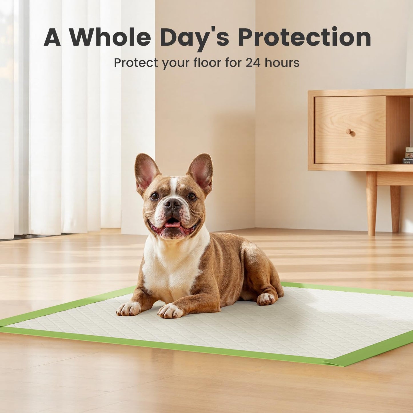 Dog Pee Pads Rugular 22"x22", Thicker ECO Green Small Disposable Puppy Training Pads Super Absorbent Full Edge-Wrapping Pad for Dogs, Puppies, Doggies, Cats-(100 Count)