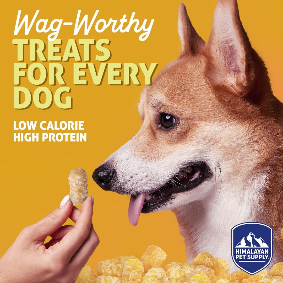 Barkeetos Dog Treats, Crunchy and Cheesy Pet Snacks Made with Real Himalayan Cheese, Gluten Free, Grain Free, Lactose Free, Natural Dog Food for All Breeds and Sizes - 3 Pack