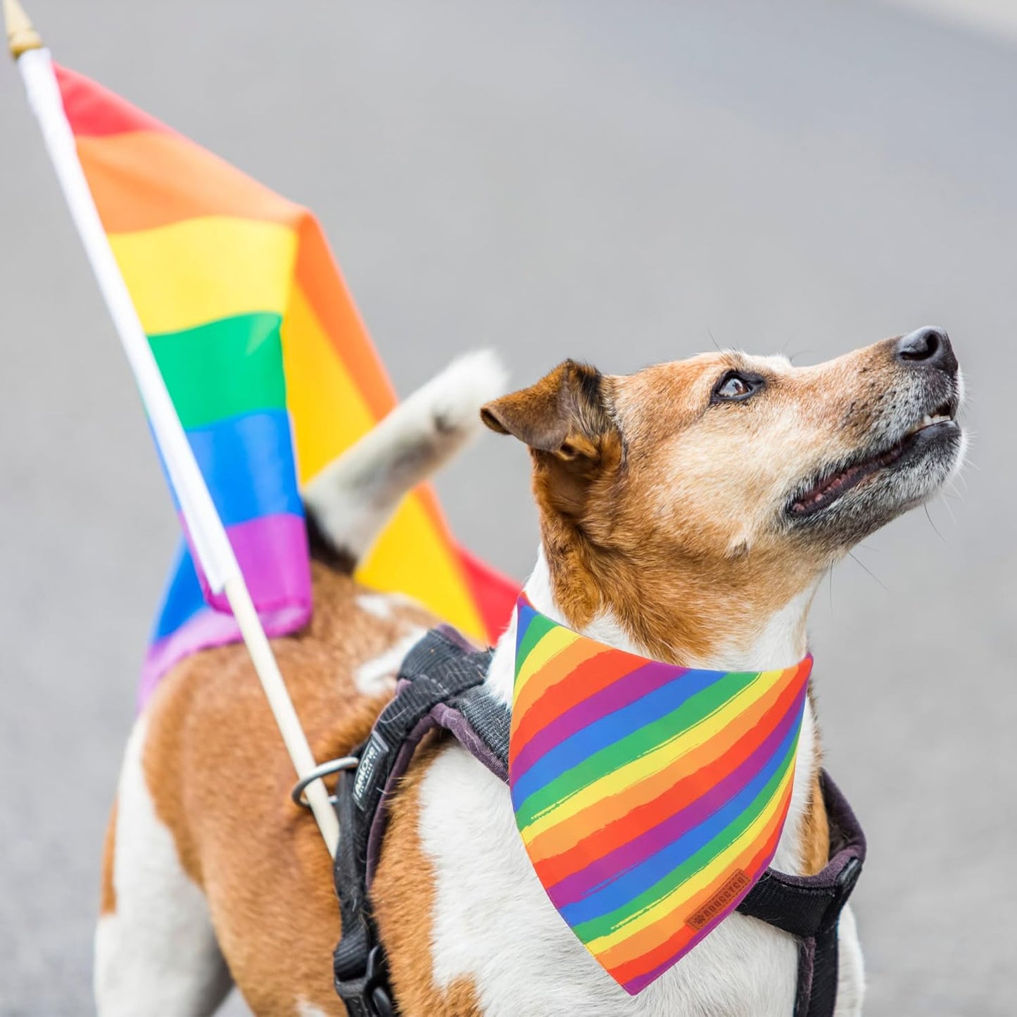 ADOGGYGO Rainbow Dog Bandana, Holiday Pet Scarf, Adjustable Fit Colorful Rainbow Bandanas for Extra Large Dogs Pets (X-Large)
