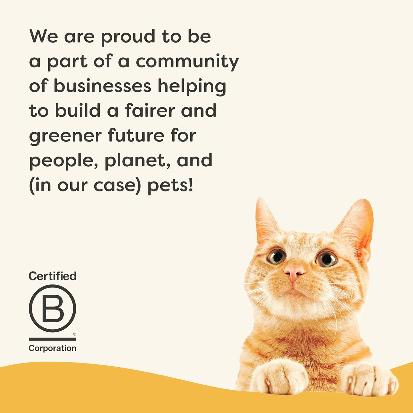 Applaws Vitality Wet Cat Food Paté, Natural Canned Cat Food, Wet Food for Cats with Added Vitamins and Minerals, Grain Free, Carrageenan Free, Chicken Breast Recipe (24 Count, 2.47 oz Cans)