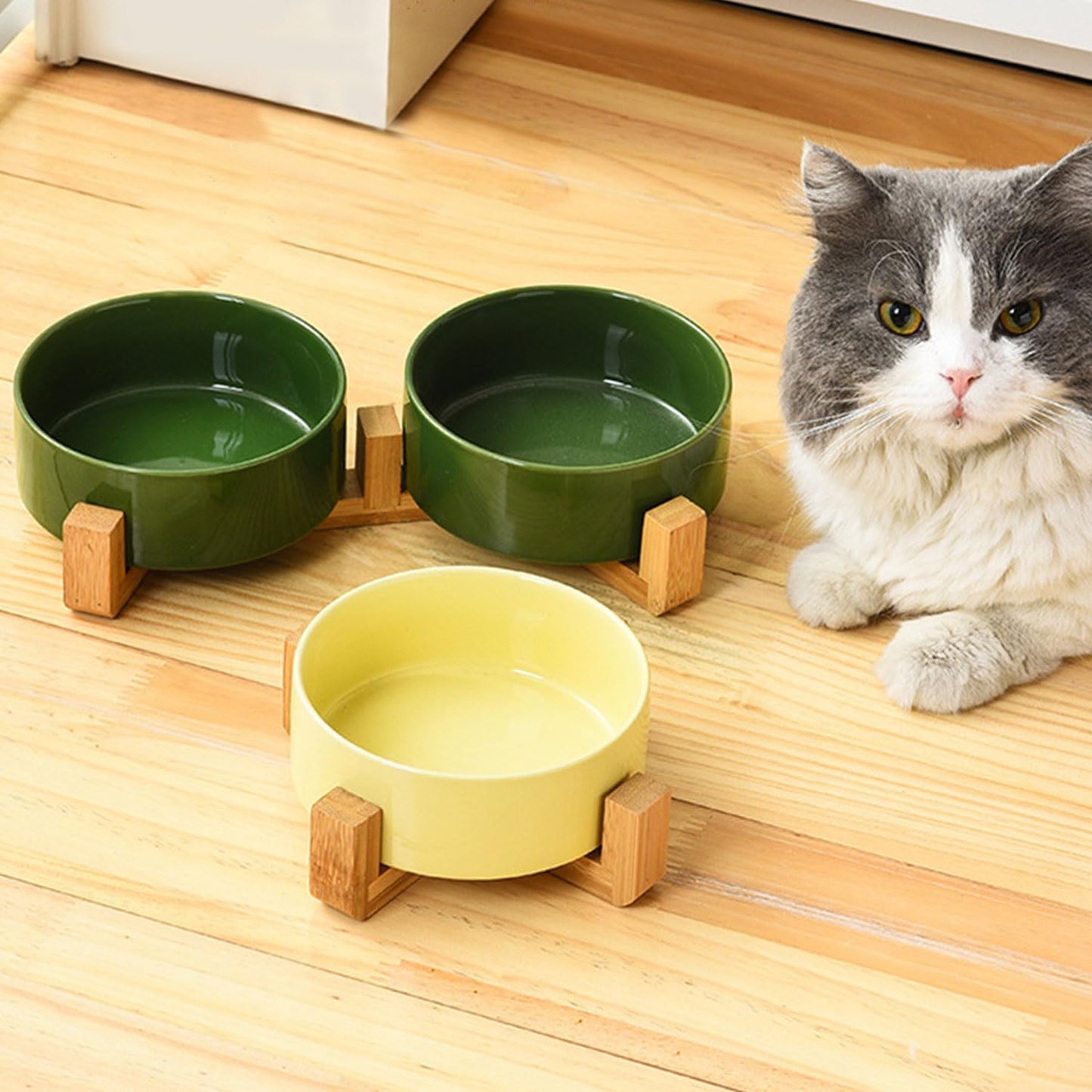 Petygooing Dog Bowls,Ceramic Cat Dog Bowl Set with Wood Stand for Food and Water,Non-Slip Cute Modern Pet Dish for Cats and Small Size Dogs (13.5OZ/5.1 in) Rust Green