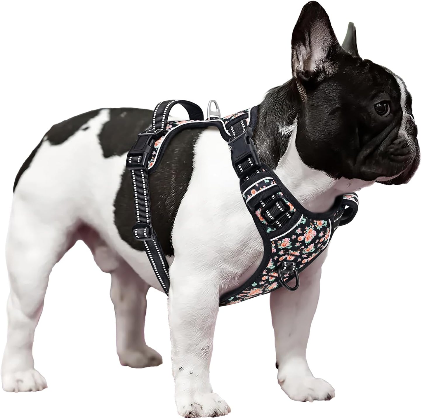 Timos Dog Harness, 3 Snap Buckles No-Pull Soft Padded Dog Vest with 2 Metal Leash Clips,Adjustable Reflective No Choke Pet Harness with Easy Control Handle for Small Dogs,Black Rose,S